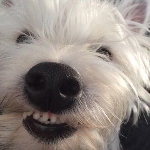 Meet your Posher, Kerry